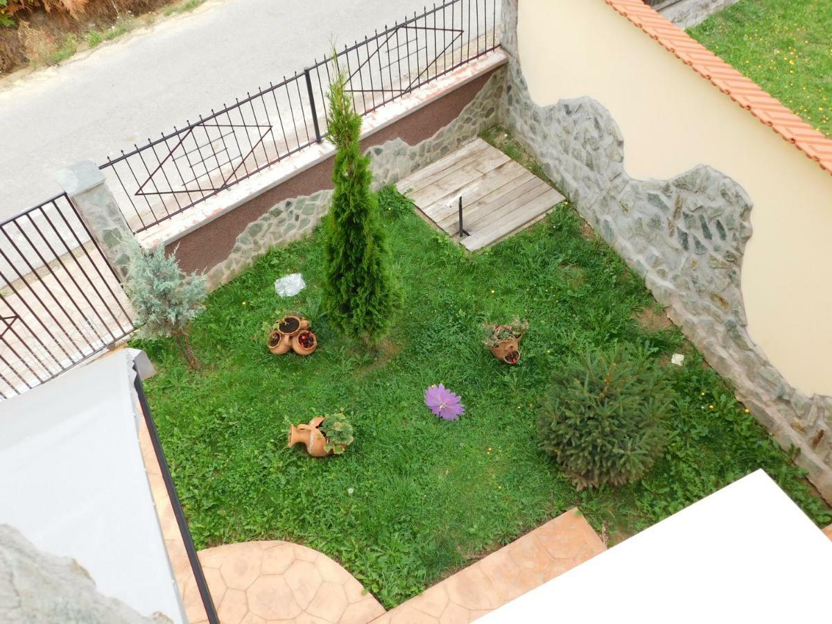 Pensiunea Casa Domnitei Baia de Fier Exterior photo