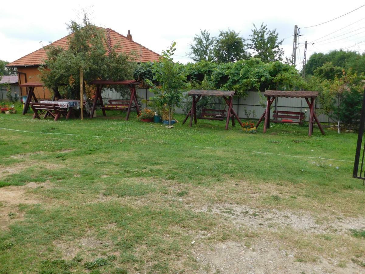 Pensiunea Casa Domnitei Baia de Fier Exterior photo