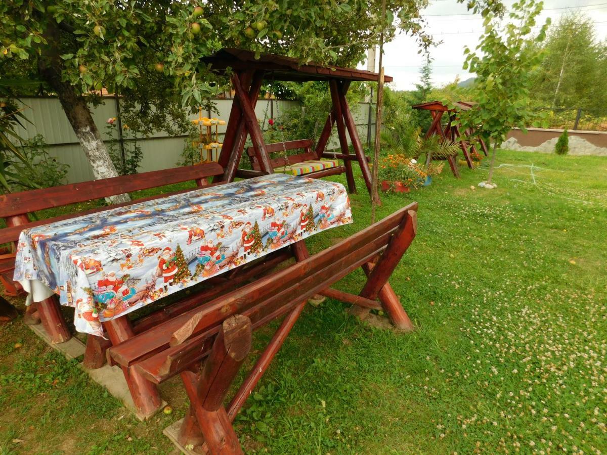 Pensiunea Casa Domnitei Baia de Fier Exterior photo